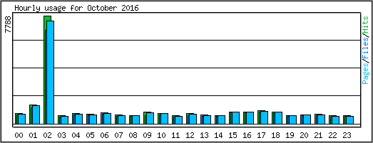 Hourly usage