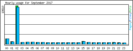 Hourly usage