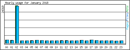 Hourly usage
